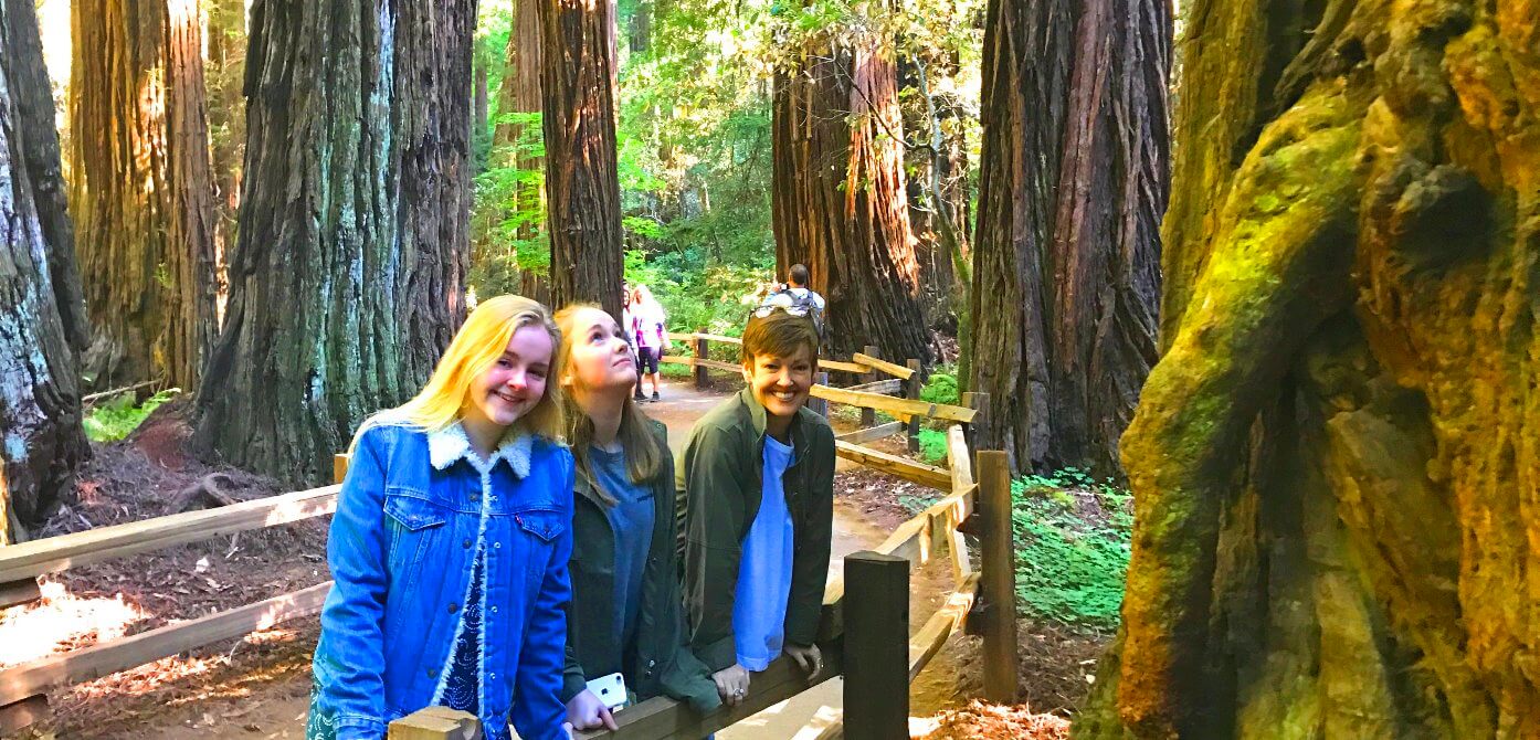 Visite guidée au parc national de Muir Woods des séquoias géants près de Sanfrancisco